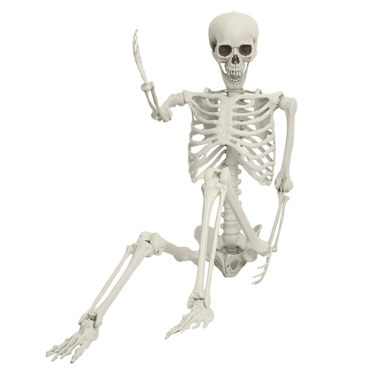 Life Size Posable Skeleton Prop Q1212