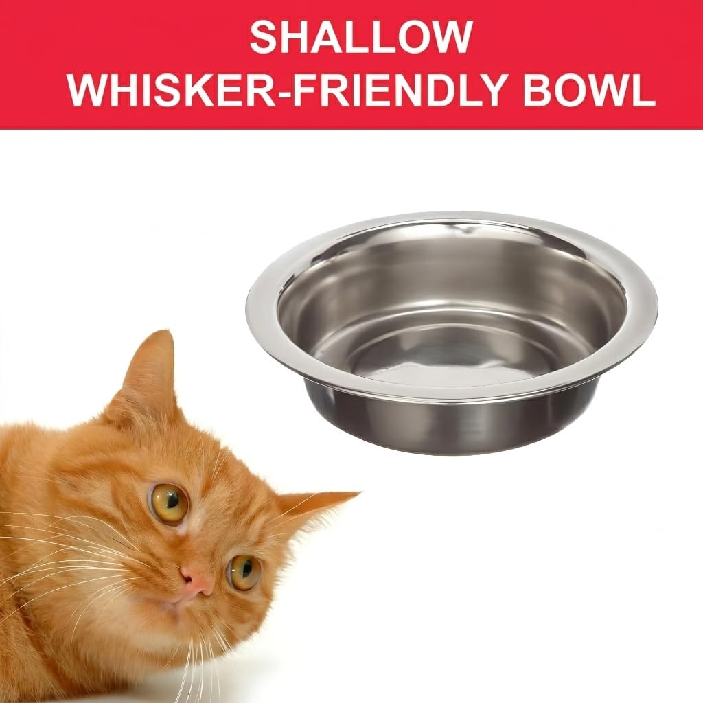 4 Pack Stainless Steel Cat & Dog Bowls, 8 oz Each R7304