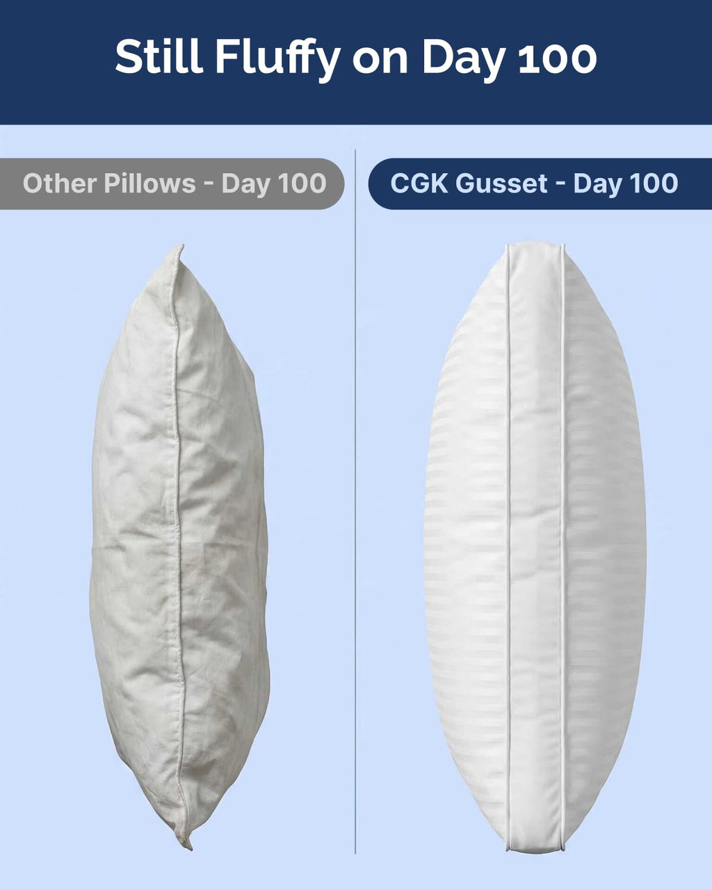 King Size Gusset Pillows Set of 2 M662