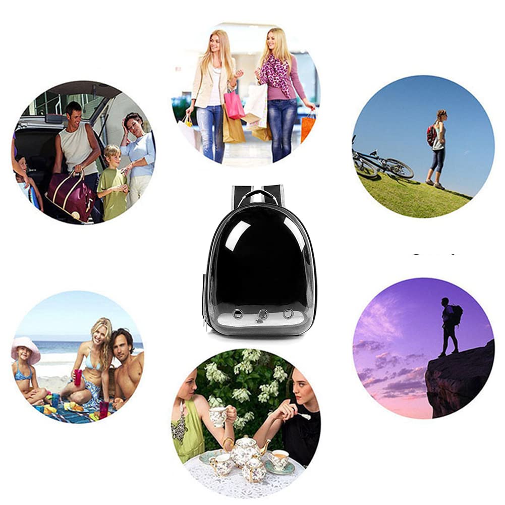 Transparent Bubble Pet Backpack Carrier F28895