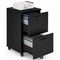 2 Drawer Black Wood File Cabinet H23737