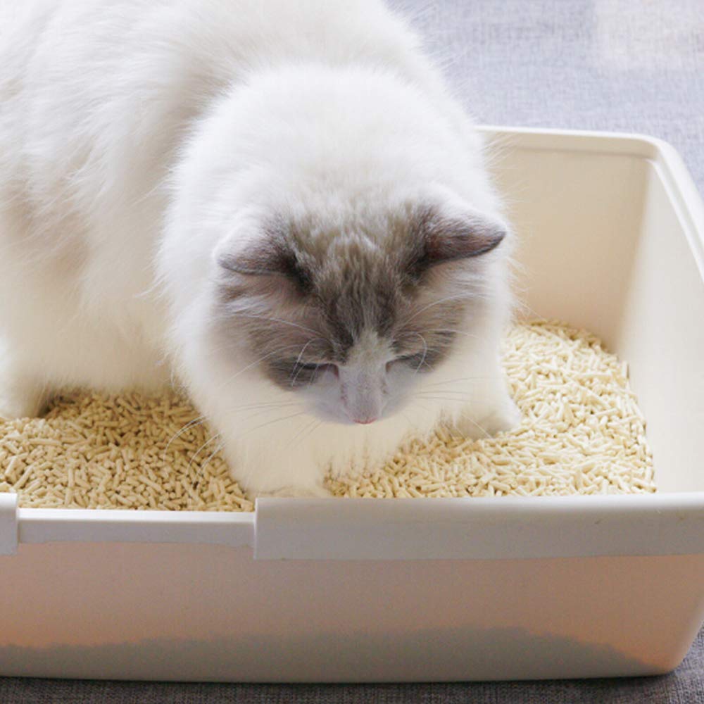 Natural Soy Tofu Cat Litter, Clumping, Flushable, Unscented, 2 Pack Q386452