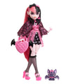Monster High Doll with Pink & Black Hair U978462