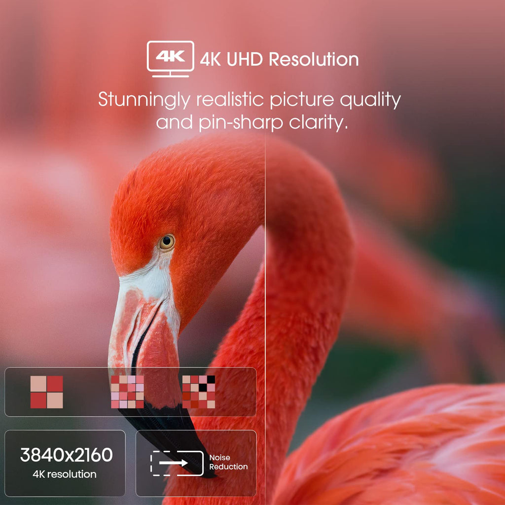 55-Inch 4K UHD Smart Google TV O1041