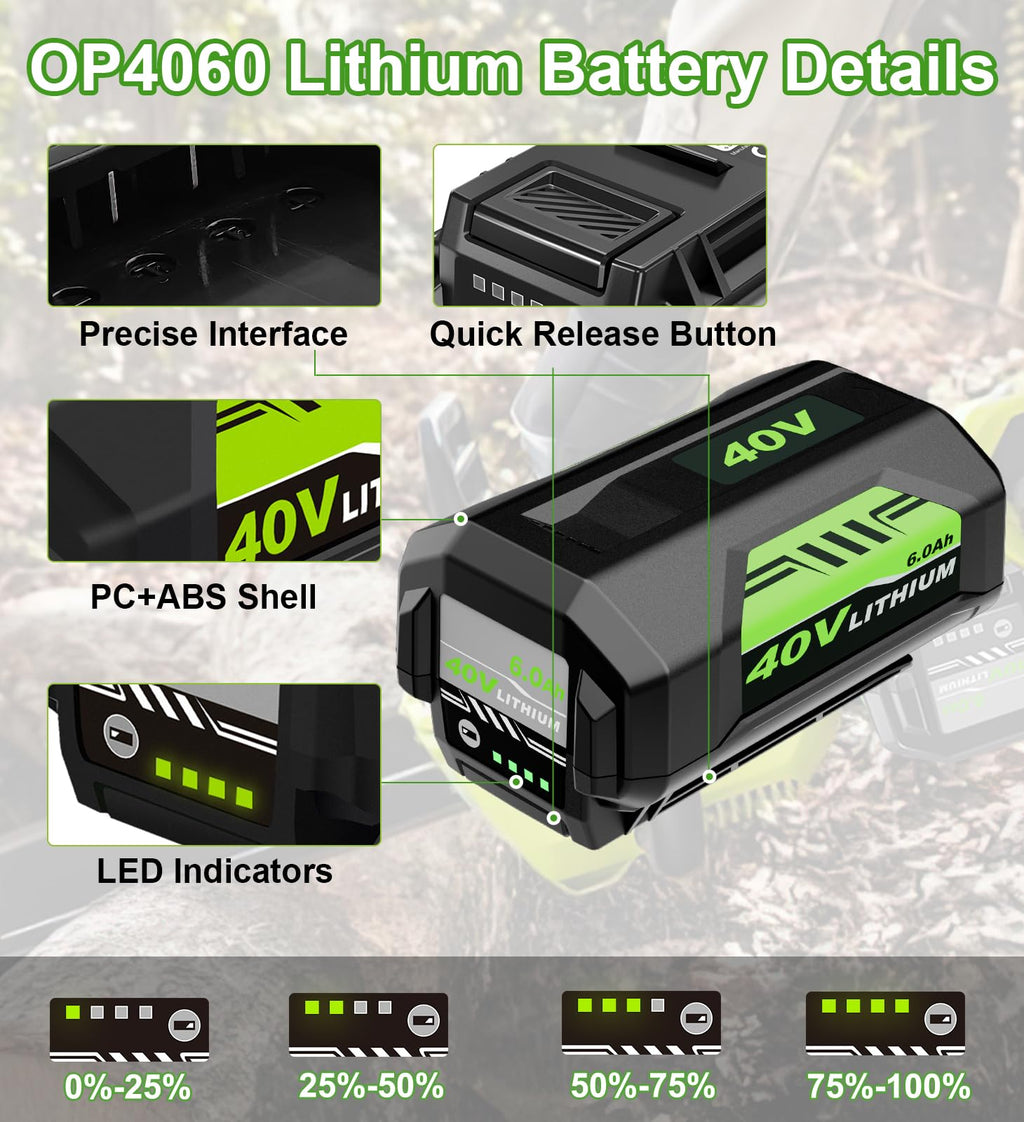 40V Battery 2-Pack S674