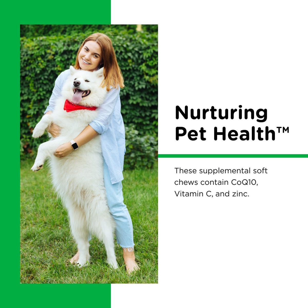 Dogs Teeth Cleaning Soft Chews 70 Count T47643