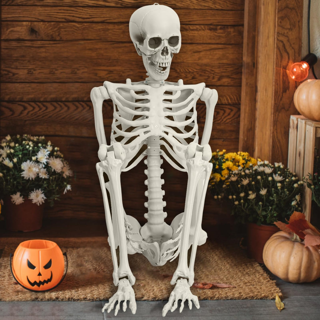 Life Size Posable Skeleton Prop Q1212