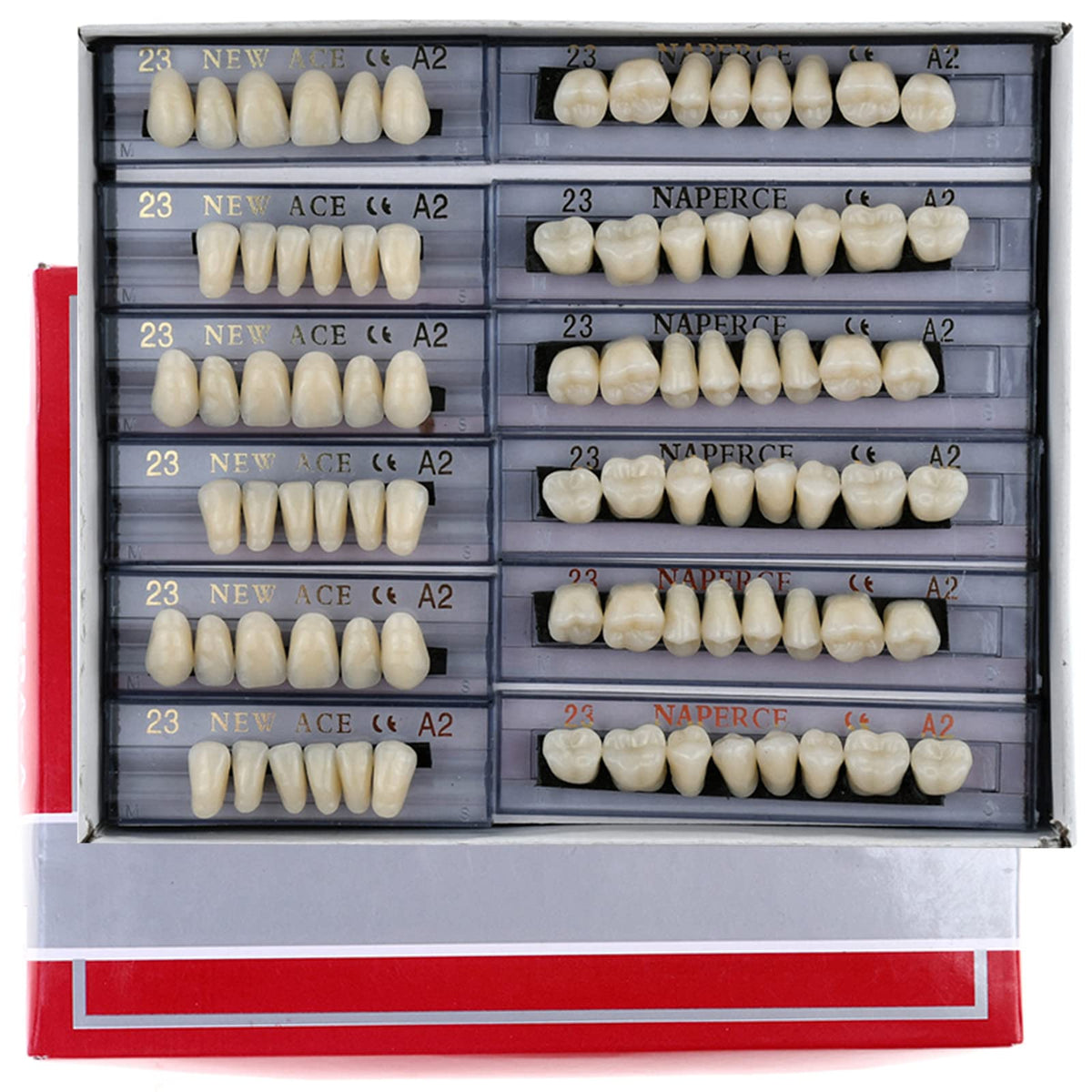 168 Pieces Acrylic Resin Denture Teeth 6 Sets 23 Shade A2 Upper + Lower V666