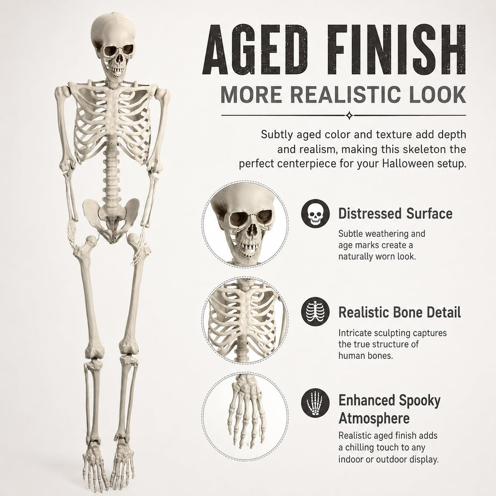 Life Size Posable Skeleton Prop Q1212