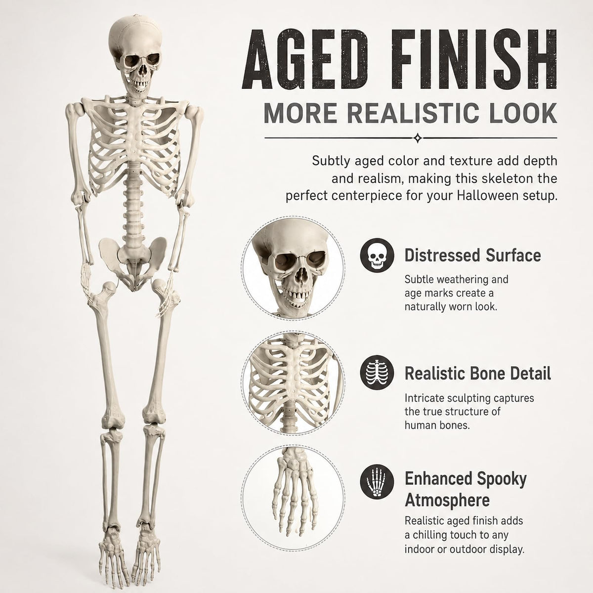 Life Size Posable Skeleton Prop Q1212