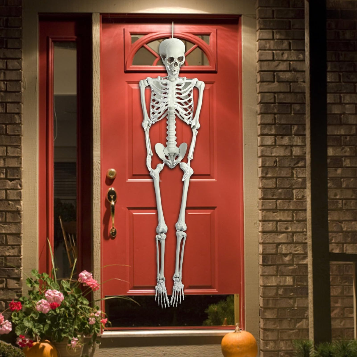 Life Size Posable Skeleton Prop Q1212