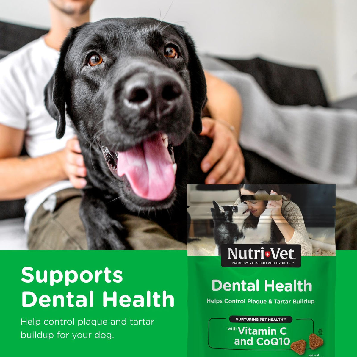 Dogs Teeth Cleaning Soft Chews 70 Count T47643