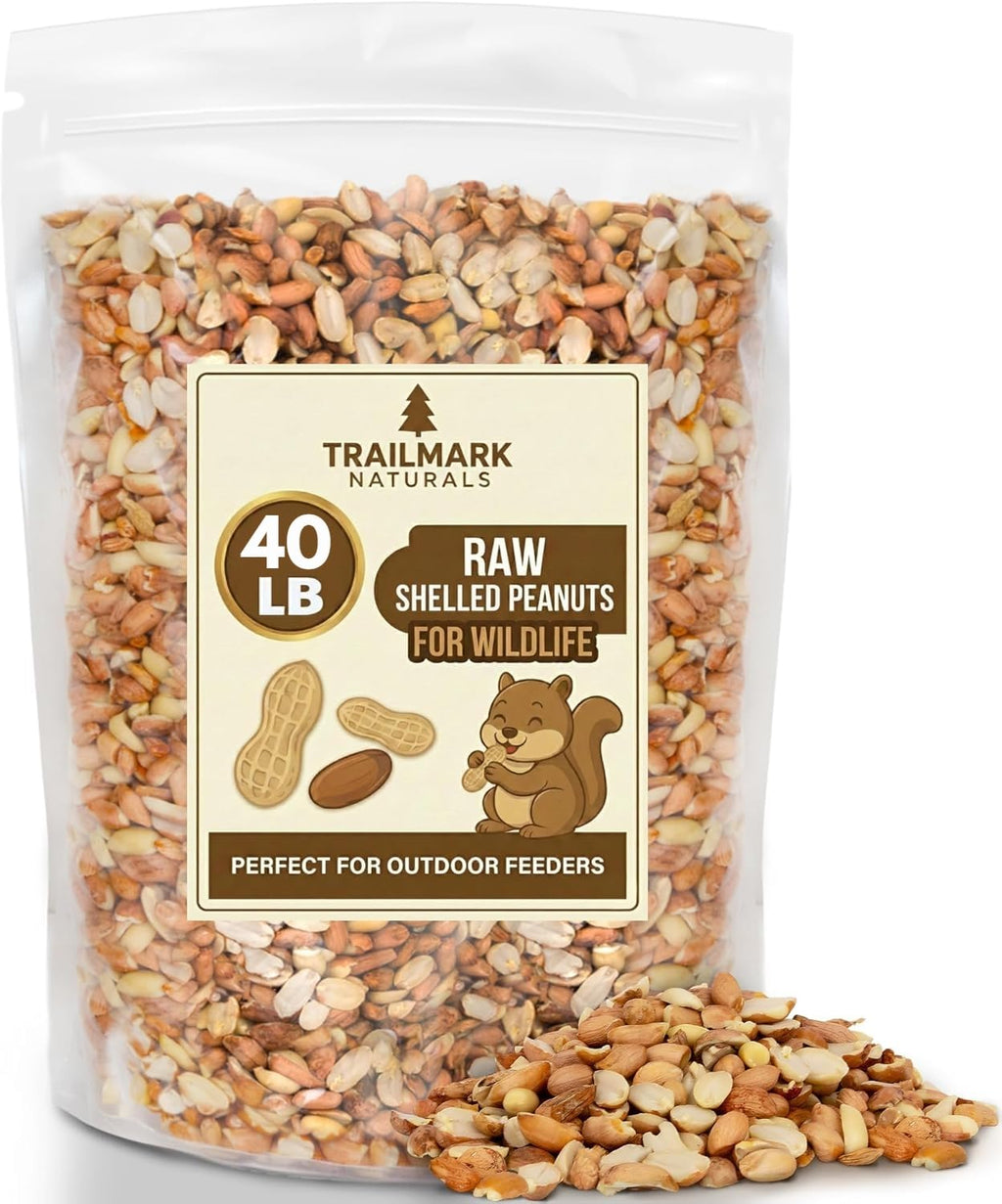Raw Shelled Peanuts Z180