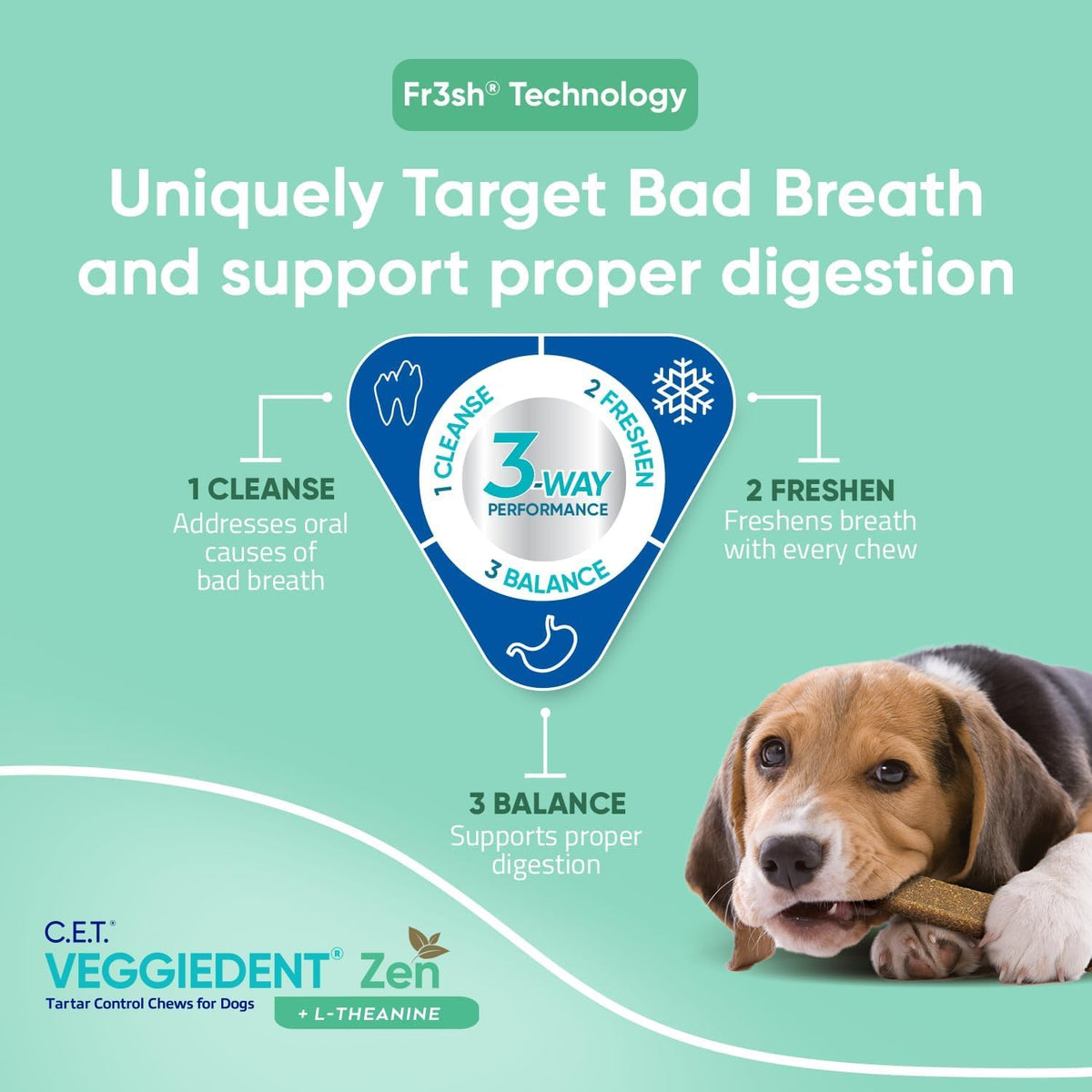 Plaque and Tartar Control Chews for Dogs N66303