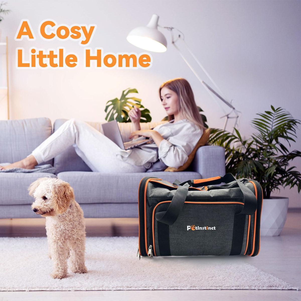 Airline Approved Pet Carrier Y63631
