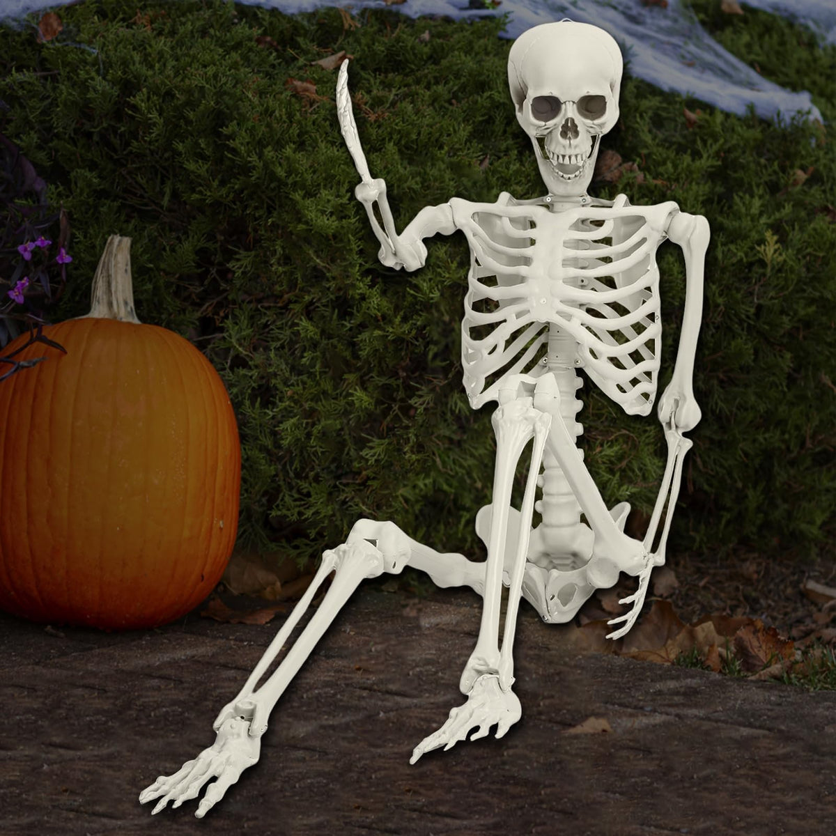 Life Size Posable Skeleton Prop Q1212