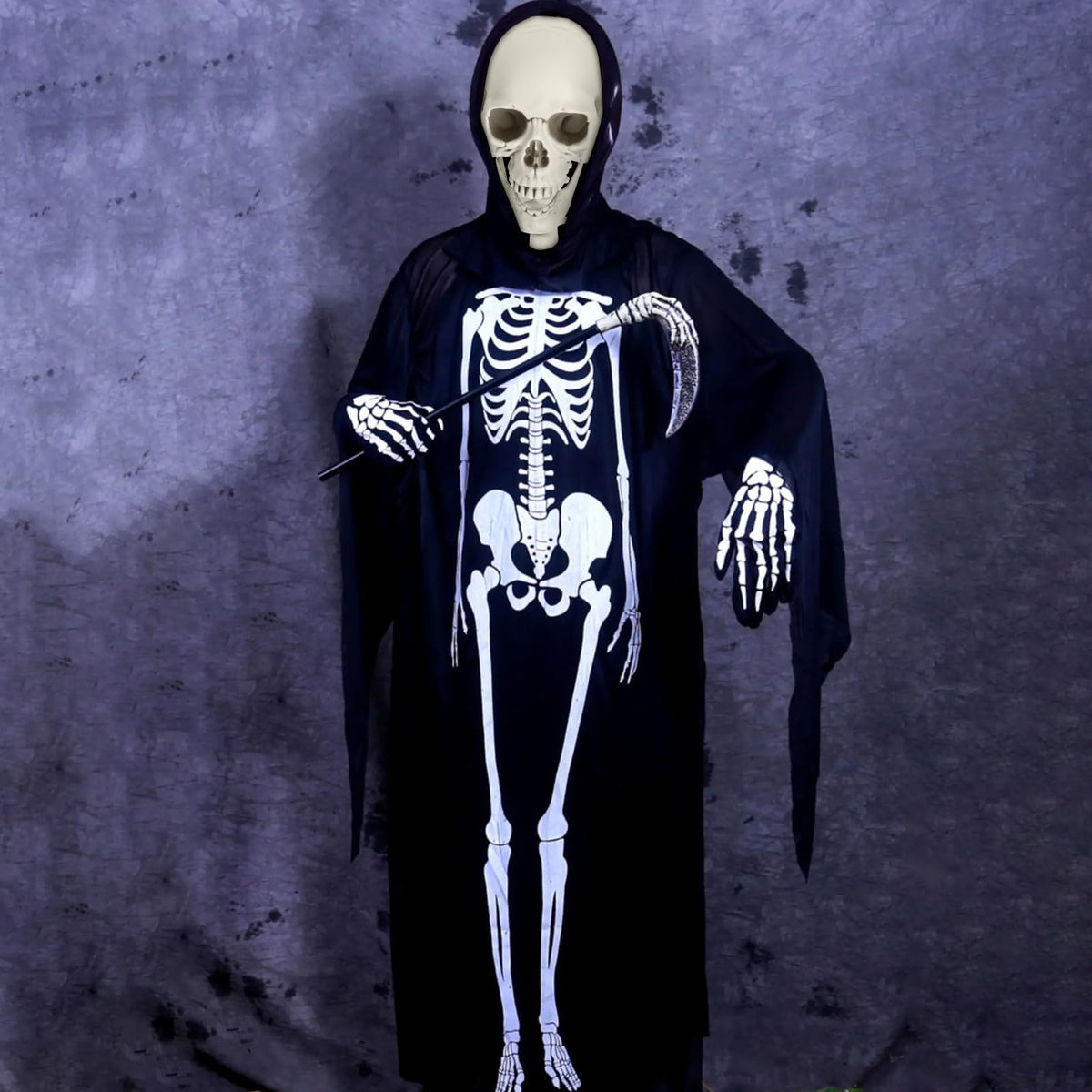 Life Size Posable Skeleton Prop Q1212