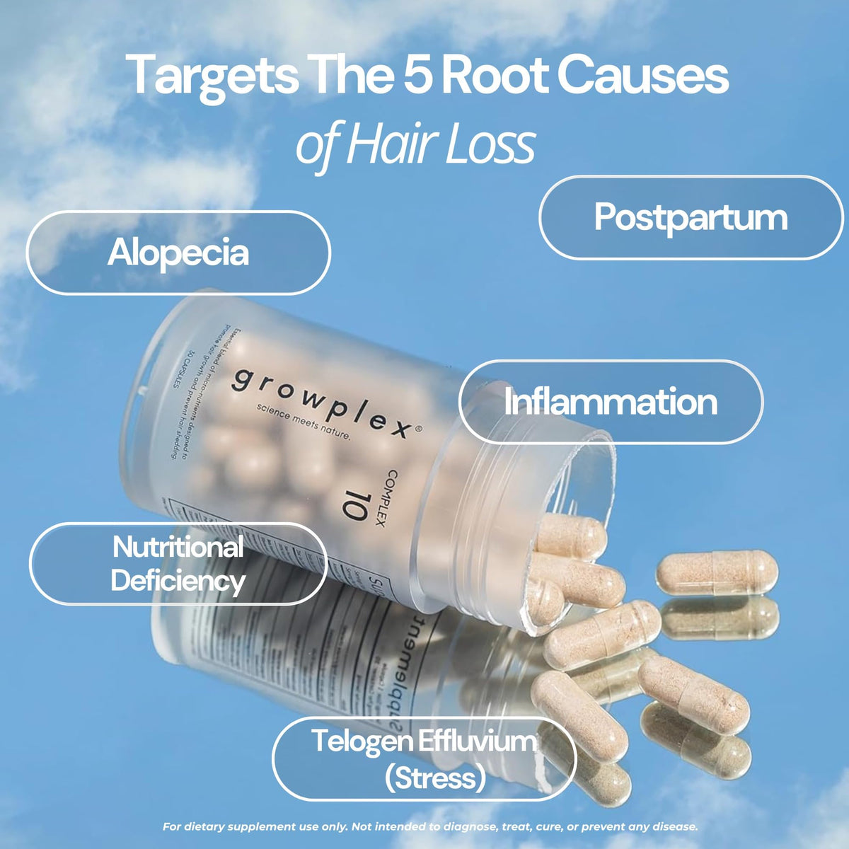Biotin Collagen Hair Support Supplement 30 Capsules P856