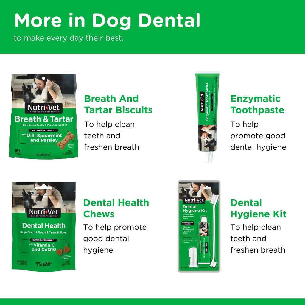 Dogs Teeth Cleaning Soft Chews 70 Count T47643