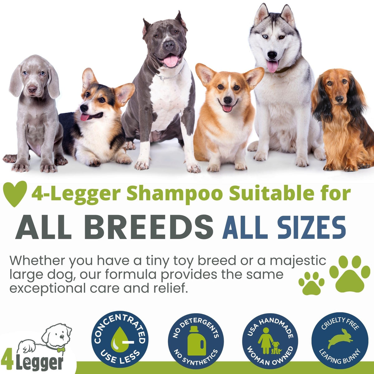 Certified Organic Hypoallergenic Dog Shampoo with Aloe and Lemongrass 16 oz N609486