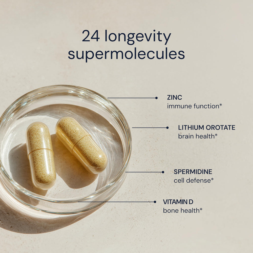 Daily Multivitamin Multimineral Antioxidant Supplement with Calcium Vitamin B1 Vitamin D Zinc Vegan Non GMO 30 Servings H78808