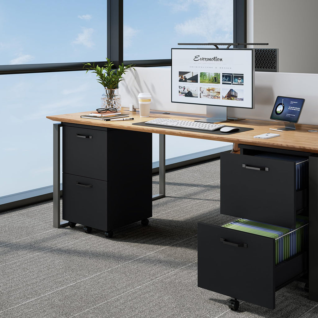 2 Drawer Black Wood File Cabinet H23737