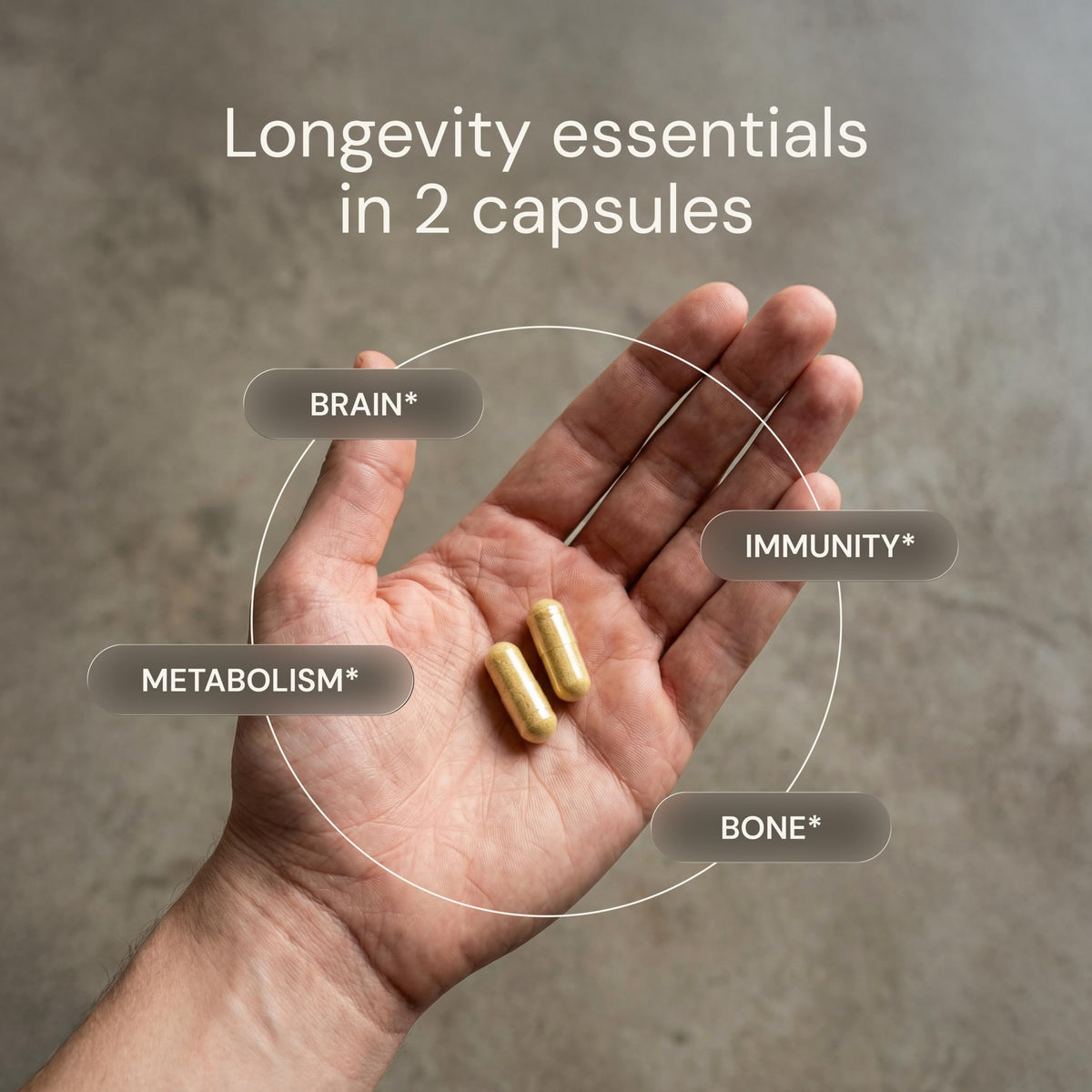 Daily Multivitamin Multimineral Antioxidant Supplement with Calcium Vitamin B1 Vitamin D Zinc Vegan Non GMO 30 Servings H78808