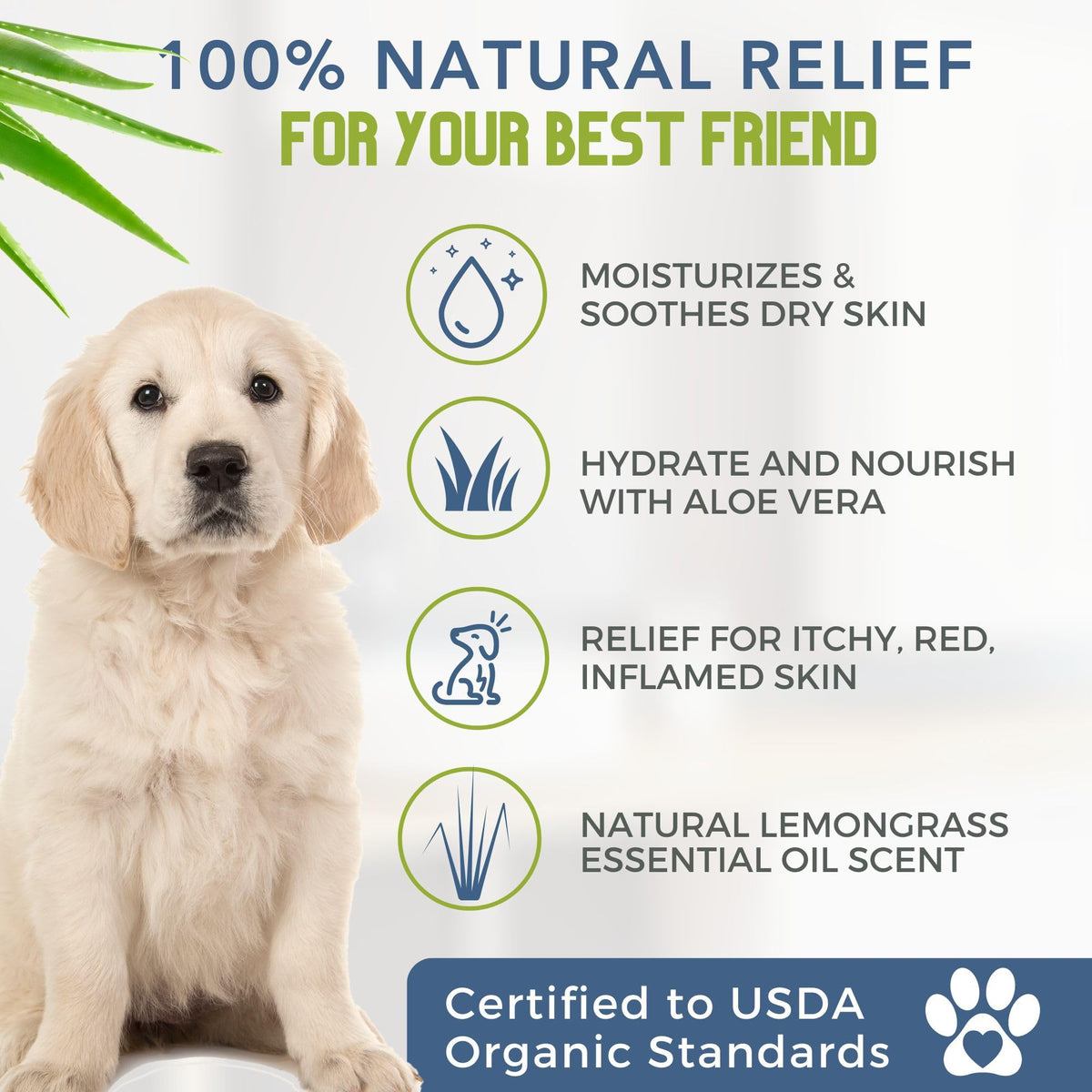 Certified Organic Hypoallergenic Dog Shampoo with Aloe and Lemongrass 16 oz N609486