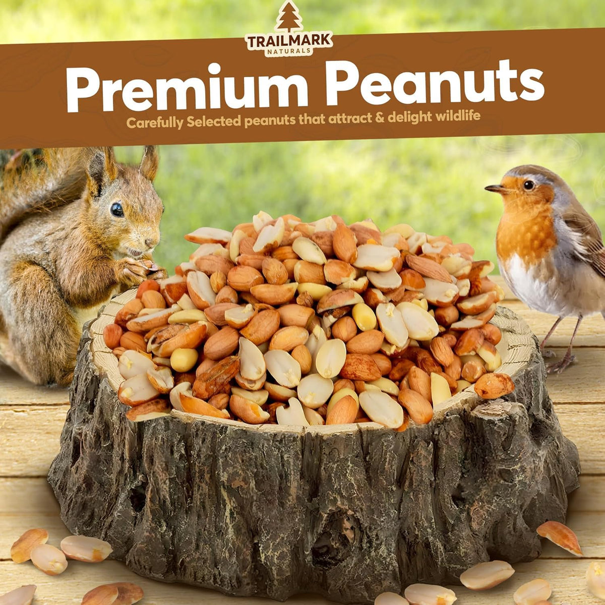 Raw Shelled Peanuts Z180