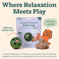 Interactive Dog Toy with 7 Refills for Medium and Large Dogs O866