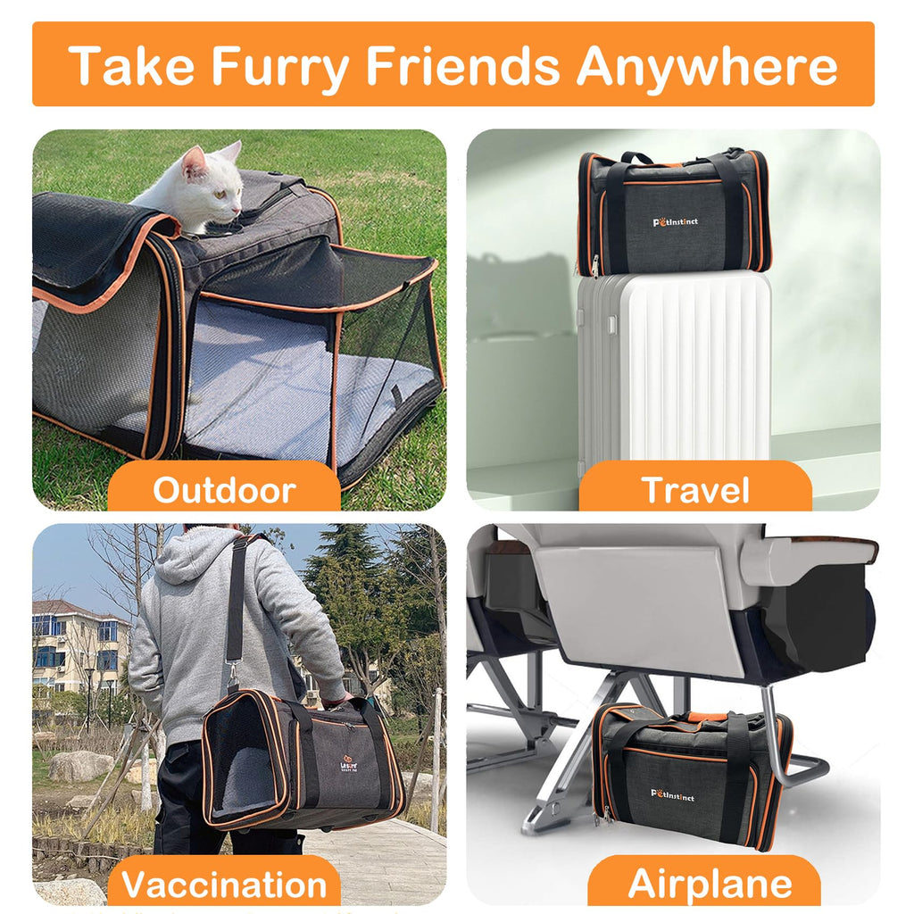 Airline Approved Pet Carrier Y63631