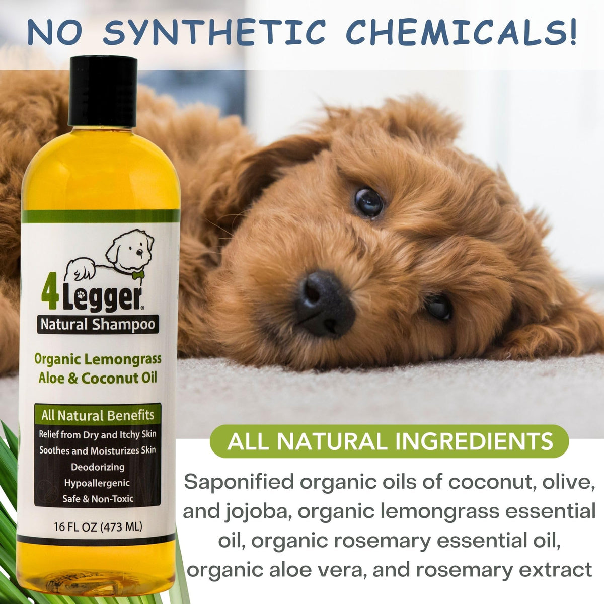 Certified Organic Hypoallergenic Dog Shampoo with Aloe and Lemongrass 16 oz N609486