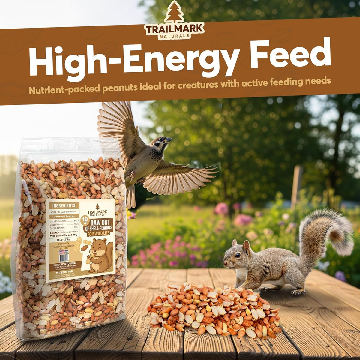 Raw Shelled Peanuts Z180
