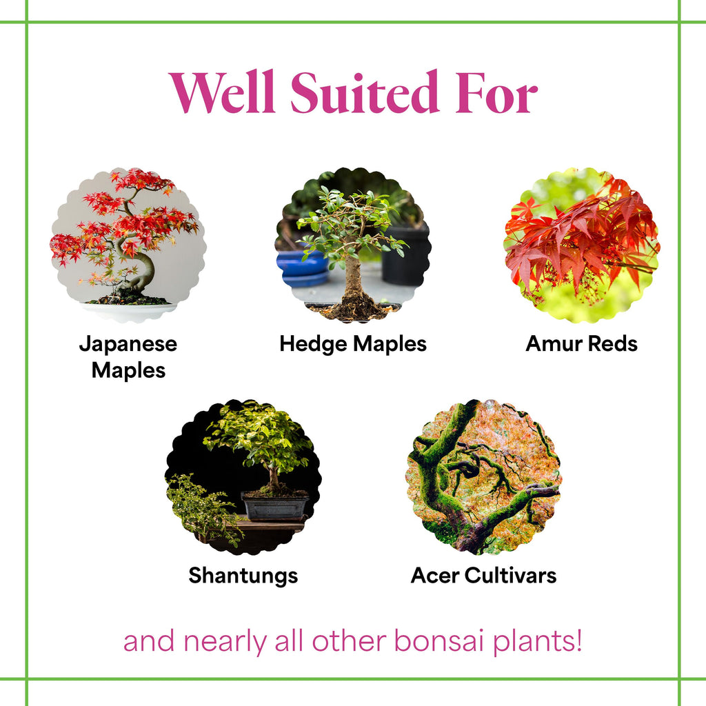 Organic Liquid Bonsai Fertilizer 8 oz Concentrate N110