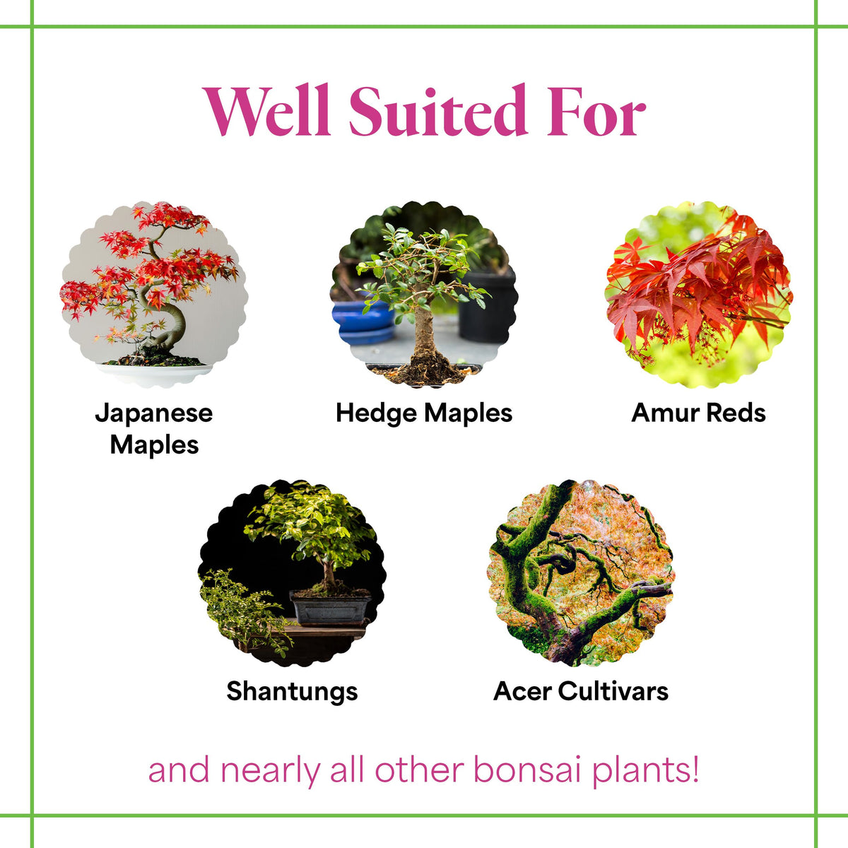 Organic Liquid Bonsai Fertilizer 8 oz Concentrate N110