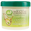 Olive Oil Hair & Scalp Conditioner 10-Ounce Jars Pack of 6 S38816